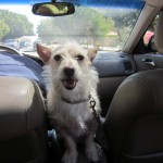 Driving down the carretera