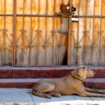 Taking a break