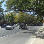 Road in La Floresta
