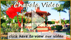 our video