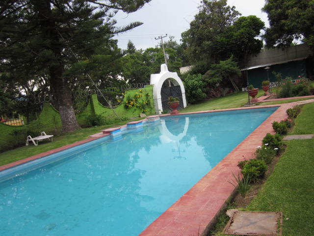 Pool in the Backyard