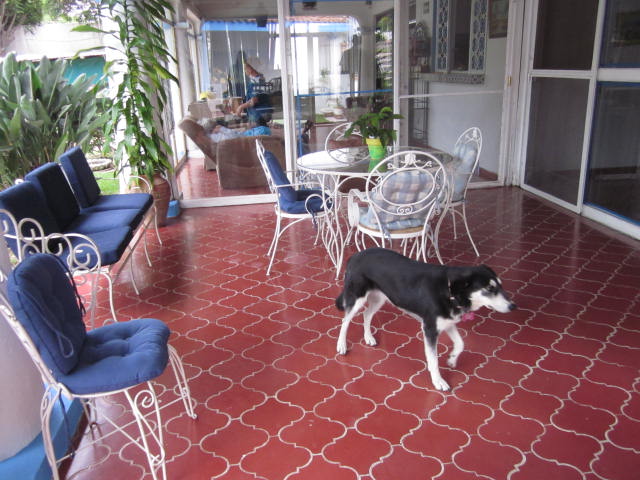 Porch at One of Alicia's Care Homes