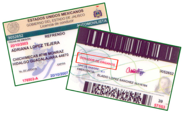 Getting An International Driver`S License In Mexico