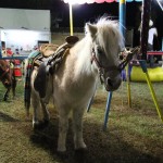 Pony Ride at the Carnival Chapala