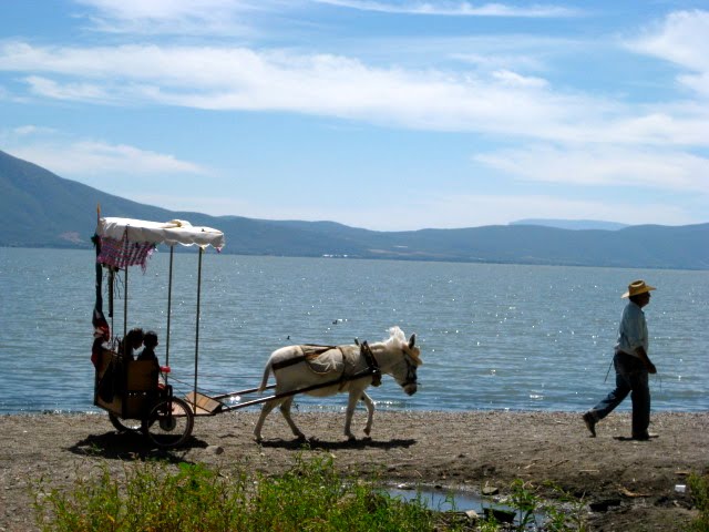 The Donkey Pulling Children in a Cart