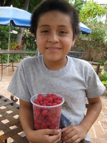 Boy Selling Raspberries