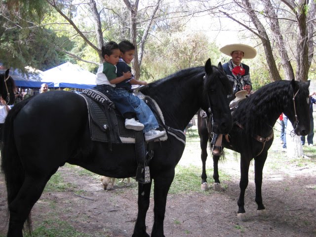 Children on Horses in the Park