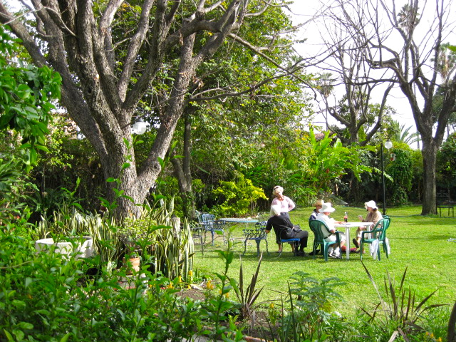 A Group Sharing Time in the LCS Garden