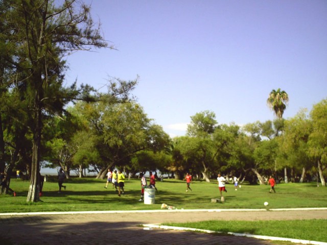 Boys Playing Soccer in the Park