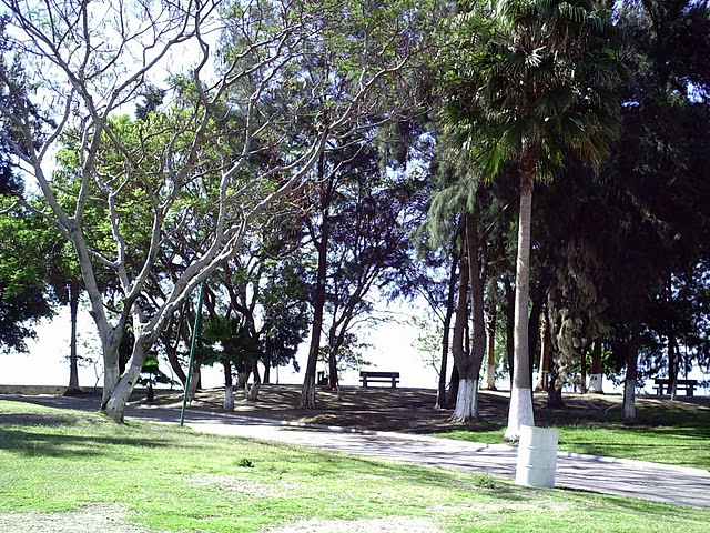 Park Bench in Christiana Park
