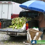Corn for Sale on Farmers Truck