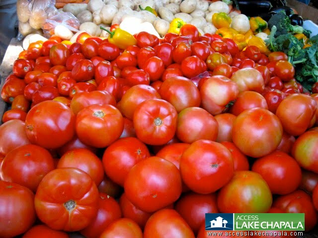 Tomatoes at the Wednesday Market
