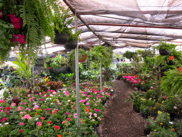 Inside of the Nursery