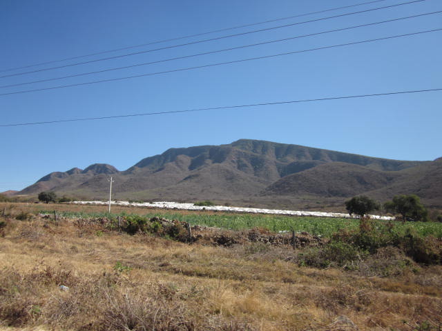 IMG_4931 Raspberry Farms Jocotepec