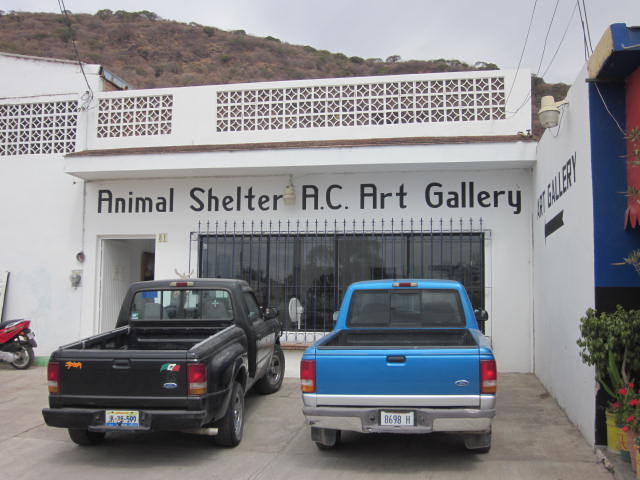 Front of the Dog Shelter