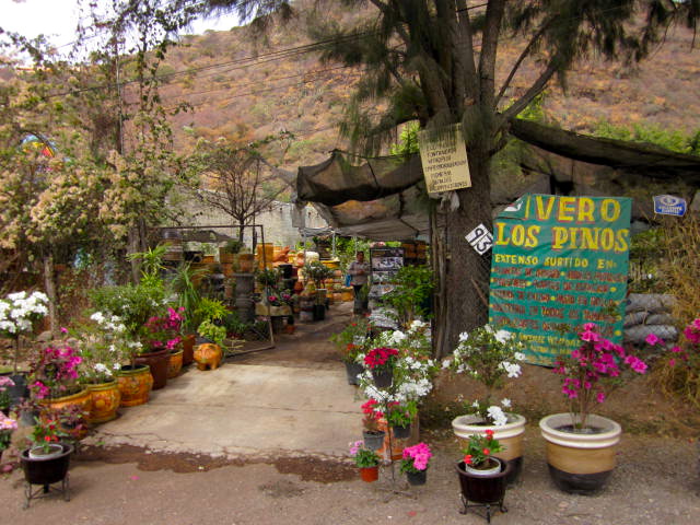 Plant Nursery