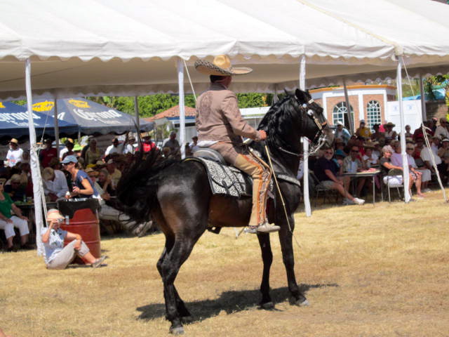 Another Dancing Horse
