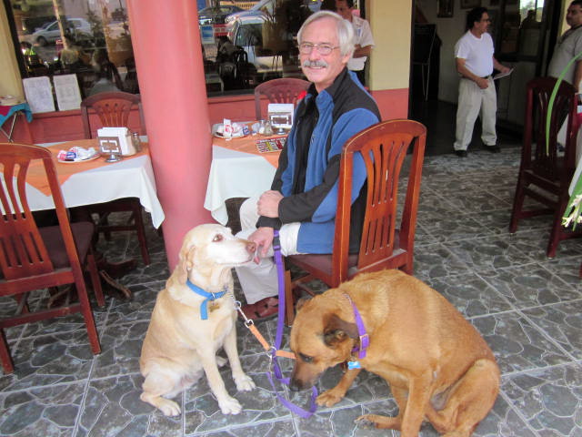 Dogs out to breakfast with their owner