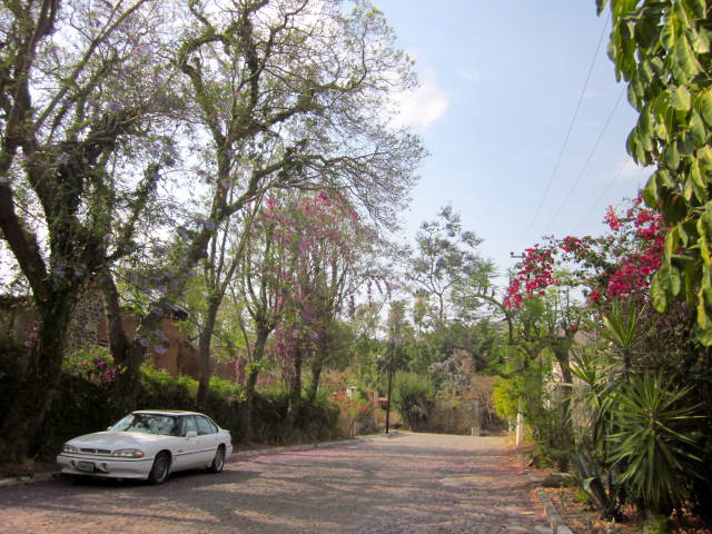 Street in Chapala Haciendas