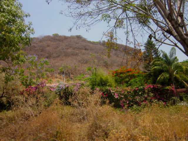 Fields in Riberas Del Pilar