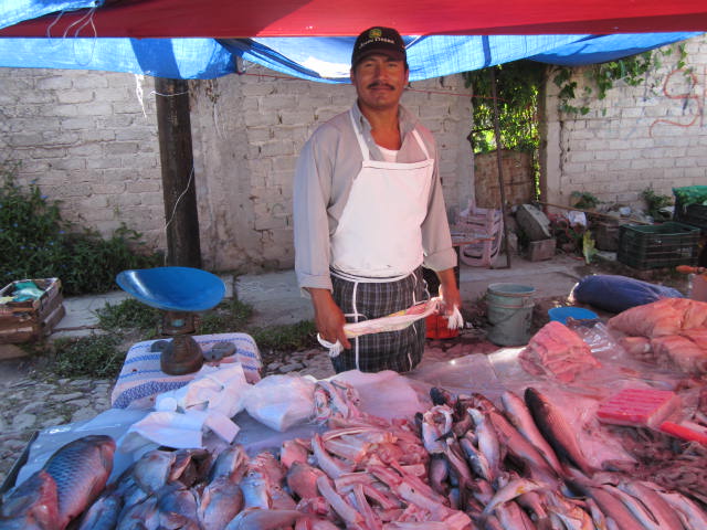 Man Selling Fish