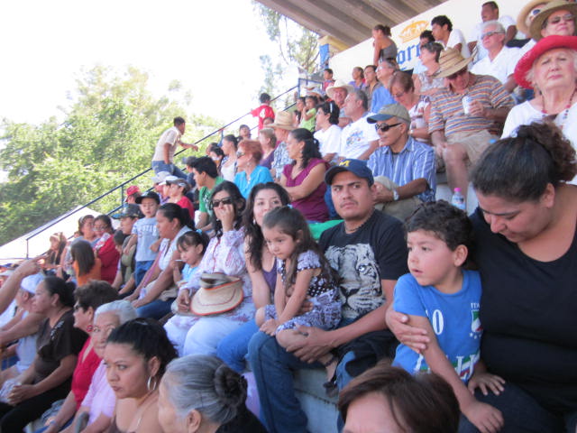 Crowd in the Stand