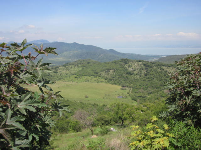 View on Road to Mazamitla