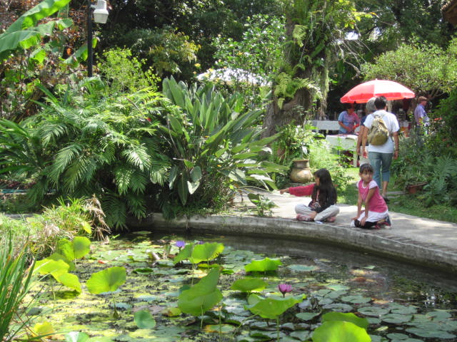Children at the Fish Pond