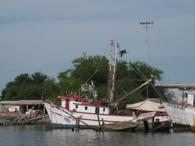 Fishing Boat in the Harbor