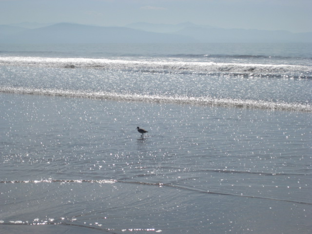 Borrego Beach