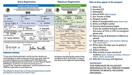 apply-for-fmm-permanent-or-temporal-visa-lake-chapala-mexico