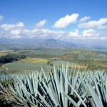 Carretera a Tequila