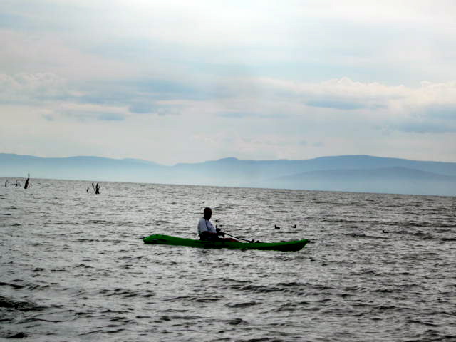Man Kayaking on the Lake