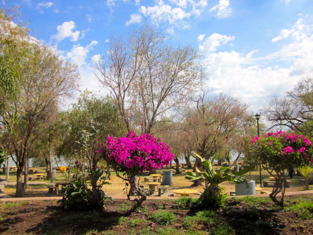 Park at San Luis Soyaltan