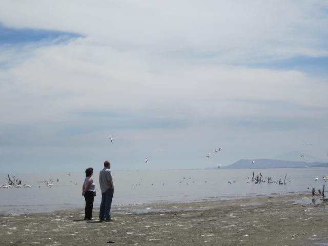 My friends Carolina and Micheal, looking at the Pelicans