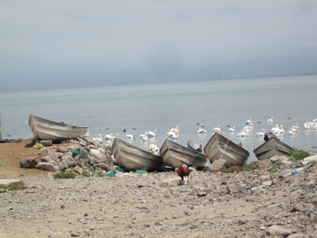 Fishing boats on the shore
