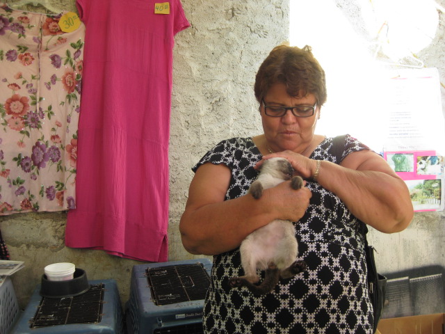 Woman Holding a Cat