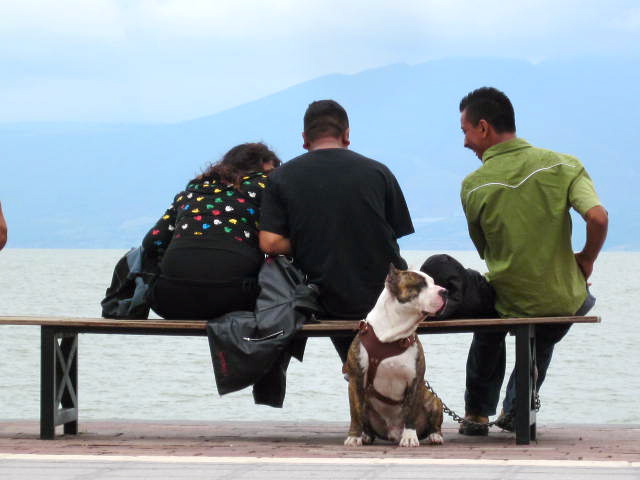 Sitting on the Malecon is Nice too.