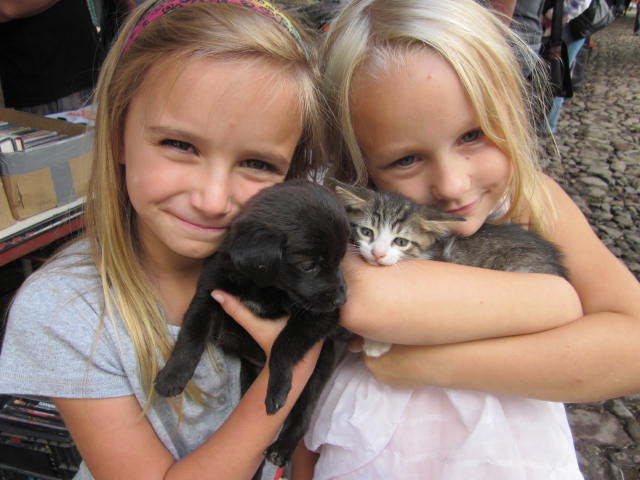 Children holding a Puppy and a Kitten