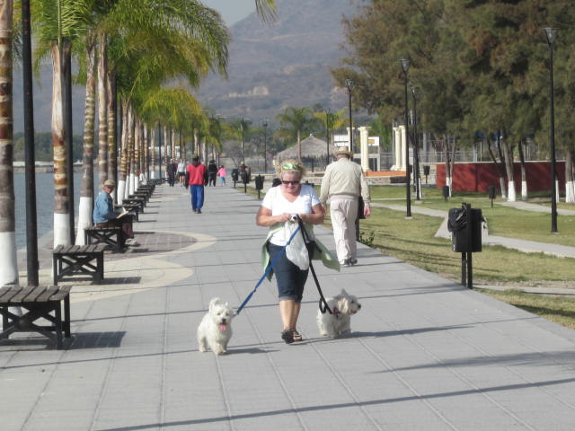 A Walk on the Malecon with the Dogs