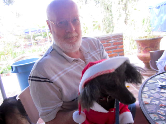 Dog wearing a Christmas Hat at LCS