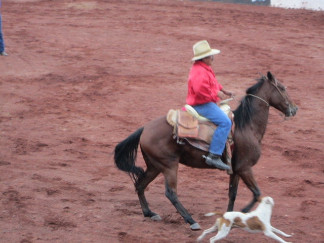 Cowboy with His Dog