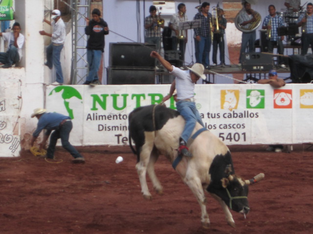Cowboy Riding the Bull