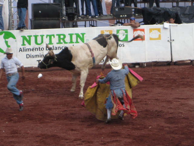 The Clown is Distracting the Bull
