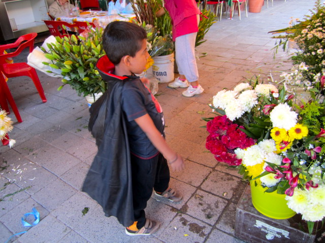 Boy in Costume in the Flower Stand