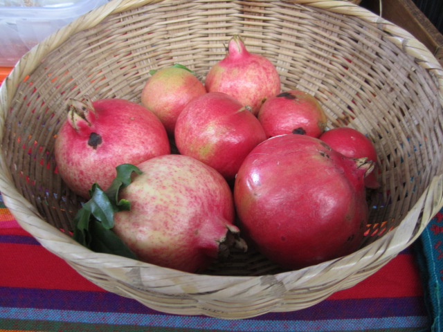 A Basket of Pomegranates