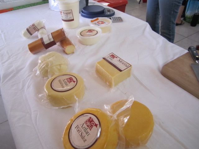 Cheese and Yogurt
