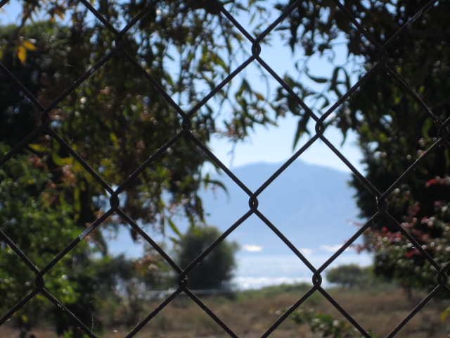 The Lake, Behind the House