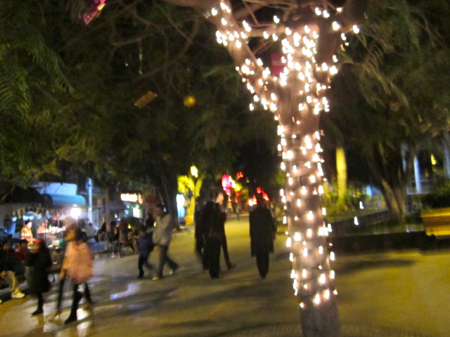 Tree with Lights on the Ajijic Plaza