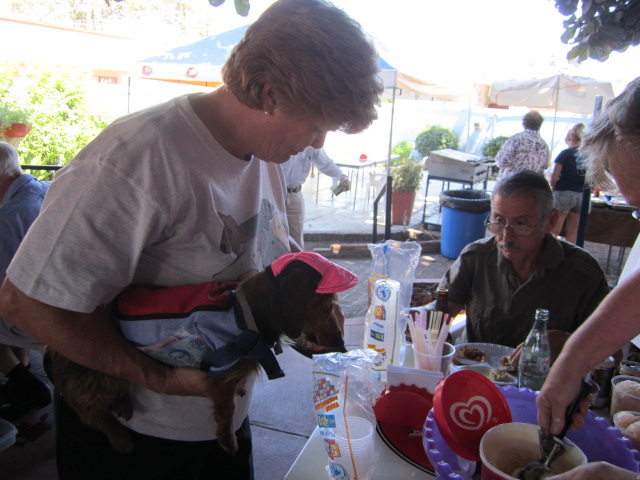 Donation Dog